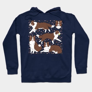 Cute brown border collie dog pattern Hoodie